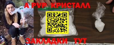 стаф Ставрополь